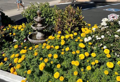 Cayucos Hotel | Central Coast Inn Cayucos