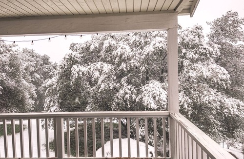 Mariposa Cottage | Charming 2-bedroom cottage in rural Mariposa near Yosemite National Park