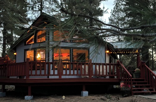 Kachina Village Cabin | Charming 2Br 2Ba cabin with big windows in the tall pines.