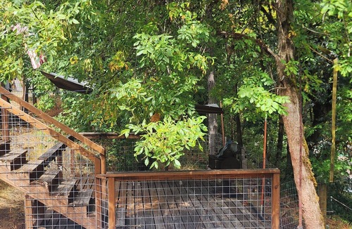 Glide Cabin | Charming 3-bedroom cabin on Little River near 8 picturesque water falls