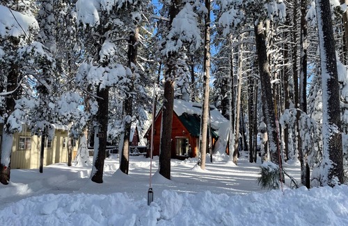 Tahoe Island Cabin | Charming, Cozy Cabin. Close to Beaches, Hiking and Skiing - Sleeps 4