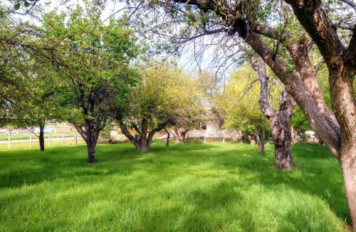 Tropic House | Charming Tropic Home by a Farm: Near Bryce Canyon!