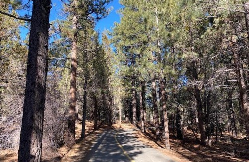 Big Bear Lake House | Chipmunk House - Magical Boulder Bay cottage within a picturesque setting! cabin