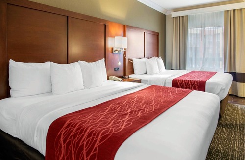 The East Side Hotel | Comfort Inn and Suites San Francisco Airport North
