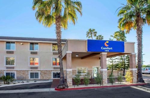 Miramar Hotel | Comfort Inn San Diego Miramar