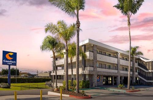 Midway District Hotel | Comfort Inn Sea World Area