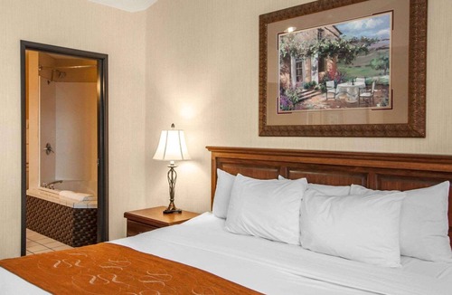 Corvallis Hotel | Comfort Suites Corvallis