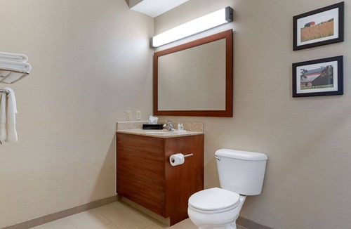 Linda Hotel | Comfort Suites Marysville - Yuba City