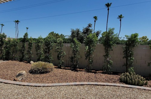 Cottonwood House | Completely remodeled home in a great retirement community!