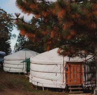 Dunlap House | Cosy yurt at a nature retreat