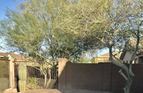 Anthem Country Club House | Country Club, Gated - Clean and cute 3 bed 3 bath home - Casita.