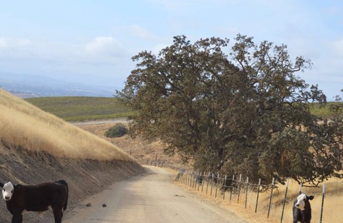 San Miguel House | Coyote Flats