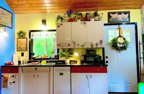 Darby Cabin | Cozy 1-bed cabin couples get-away w/hot tub and Starlink high-speed internet