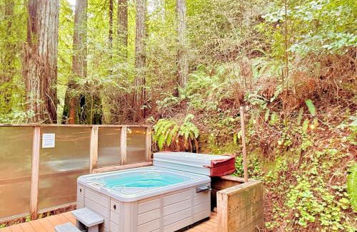 Sebastopol House | Cozy cabin deep in the redwoods with WiFi and Hot Tub
