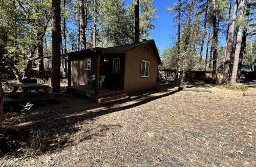 Christopher Creek House | Cozy Cabin in Christopher Creek for an Escape to the Forested Rim Country in Central Arizona