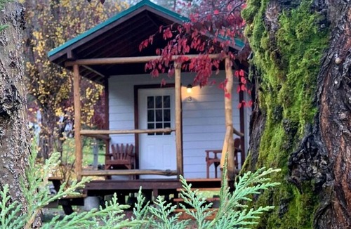 Idleyld Park Cabin | Cozy Cabin near Trailheads and Waterfalls in the Umpqua National Forest, Oregon
