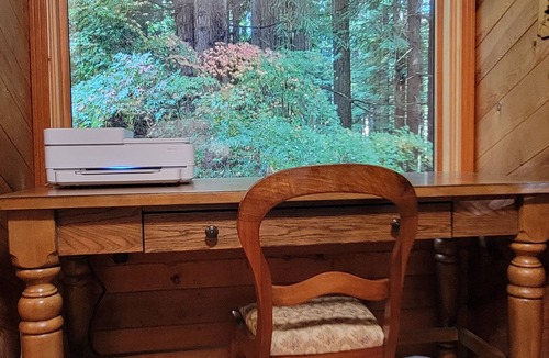 Freshwater Cabin | Cozy Cabin Nestled on 2.5 Acres of Pristine Redwood Forest *Hot Tub *Fire Pit!