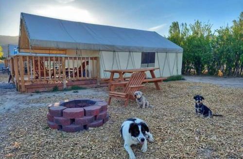Sevier County Other | Cozy Glamp Tents at Wildland Gardens
