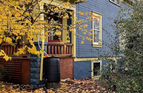 King Apartment | Cozy Lair-a close-in studio in a welcoming, safe and walkable neighborhood.
