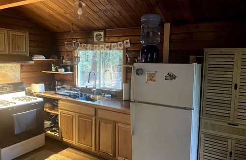 Nevada City Cabin | Cozy log cabin in the woods