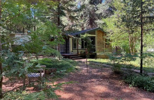 Nevada City Cabin | Cozy log cabin in the woods