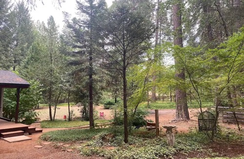 Nevada City Cabin | Cozy log cabin in the woods