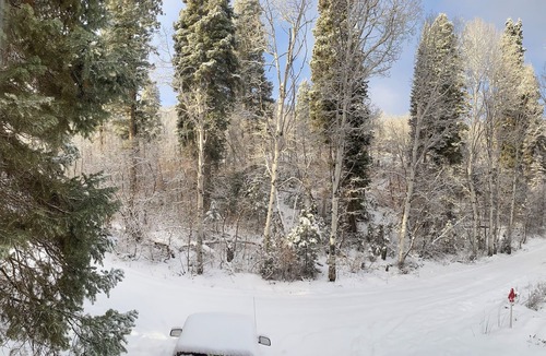 Midway Cabin | Cozy, secluded forest 6-bdrm Mountain cabin near Park City, Golf course, Crater