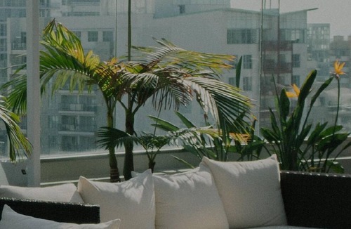 South of Market Apartment | Cozy South Park Studio, near Caltrain & South Park by Blueground