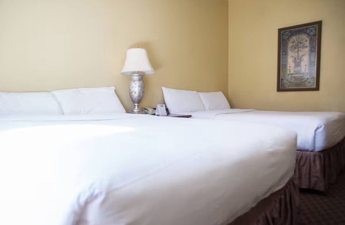 Mount Charleston Hotel | Discover Nature’s Beauty – Double Queen Room w/Free Parking and All-Season Fun
