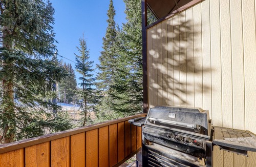 Brian Head Condo | Dog-Friendly Evergreen Condo with Washer/Dryer, Ski-In/Ski-Out Area Nearby