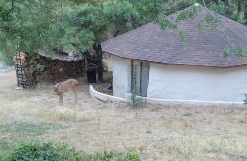 Oakhurst Cottage | Eco-Earth Home Near Yosemite & Bass Lake – The Boukarou Escape
