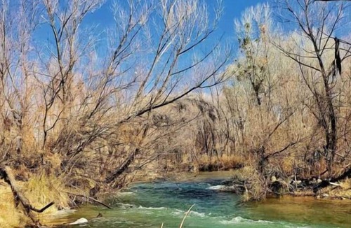 Camp Verde House | Enjoy a Hassle Free and Suiting Stay! Pets Allowed, Near Grand Canyon Tours!