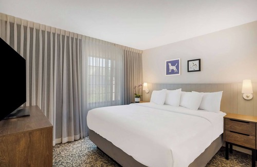 Sorrento Valley Hotel | Everything You Need For The Perfect Vacation! Heated Outdoor Pool, Pets Allowed!