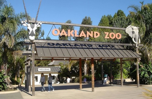 San Ramon Resort | Experience a Relaxed Getaway! Pool, Free Parking, Minutes to Oakland Zoo!