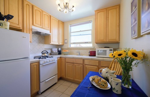 Marina District Hotel | Experience a Tranquil Oasis at Marina Motel -San Francisco's Best Kept Secret!