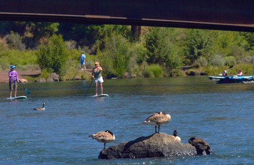 Southern Crossing Cottage | Experience Bend's magic from this quiet home near river/trail & Old Mill.