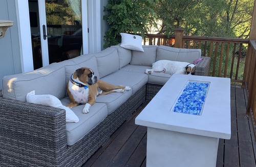 Petaluma House | Family Friendly Sonoma County Home