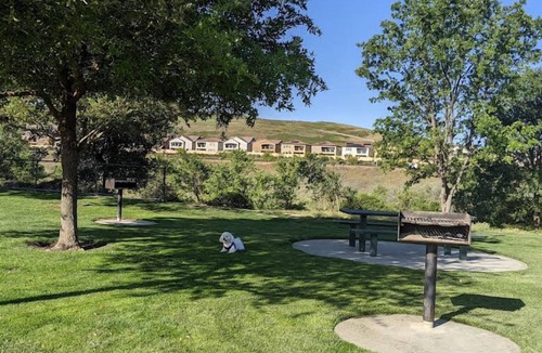 San Ramon House | For The Whole Family! THREE Pet-friendly Units, Outdoor Pool, Free Parking!