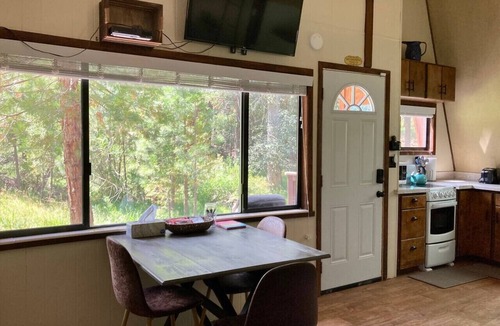 Susanville Cabin | Forest A-Frame Cabin | Gold Run Creek Frontage | High-Speed WiFi | 10 Wooded Acres