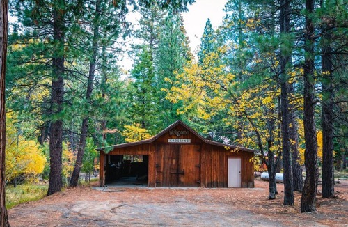Susanville Cabin | Forest A-Frame Cabin | Gold Run Creek Frontage | High-Speed WiFi | 10 Wooded Acres