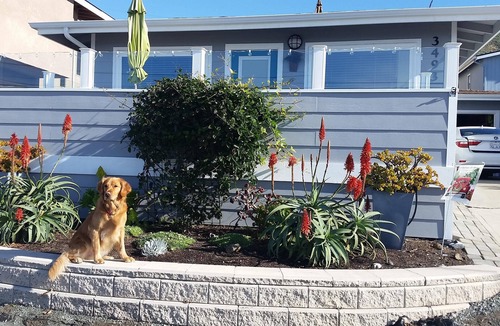Cayucos House | FULL OCEAN VIEW! 3 minute walk to beach, WiFi, Dogs welcomed upon approval