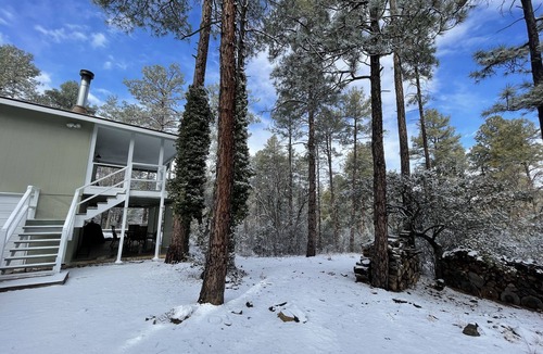 Oak Knoll Village Cabin | Fully renovated cabin w/private forest views & 3.2 miles to downtown Prescott!