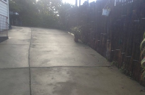 El Cerrito House | Gated Fenced Like a Mansion, Walk to Everything