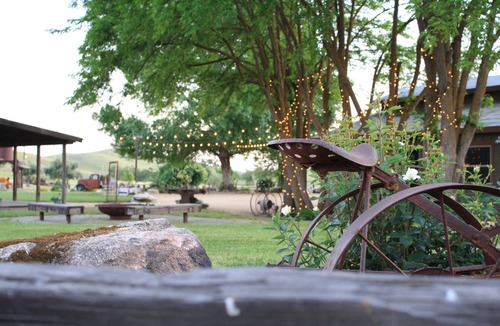 San Miguel Cabin | Glamping Paso Robles! Ultimate countryside farm stay!