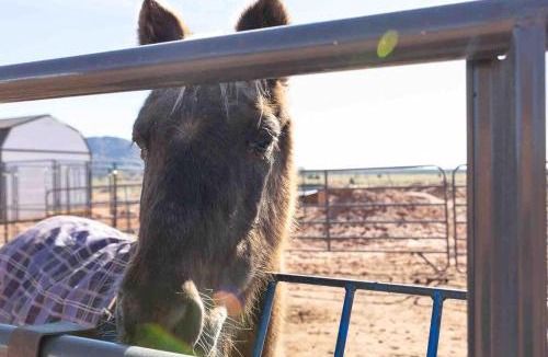 Fredonia House | Glitter and Grit! The Wild West 40 Homestead