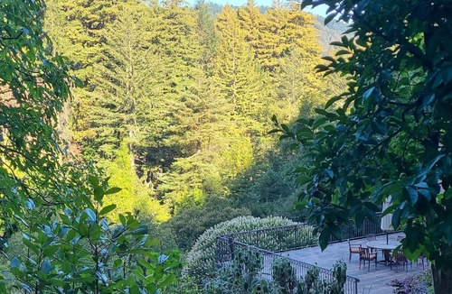 Redwood City House | Gorgeous Estate Private Retreat 5 Acres Paradise