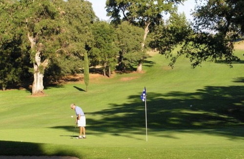 Lake Wildwood Cabin | Gorgeous Gated Private Suite in Wood Cabin ~ Lake Wildwood ~ Golf & Yuba River