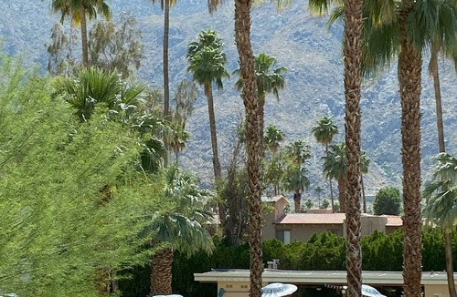 Baristo Condo | Gorgeous Renovated Palm Springs Condo, Close to Everything!