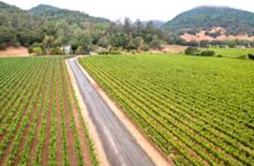 Yountville House | Gorgeous Yountville Pet-Friendly home - 2 beds & office - walk to downtown!!