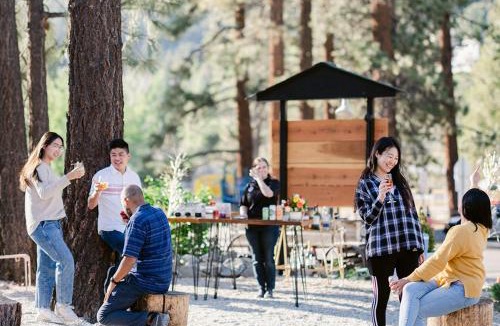 Wrightwood Hotel | Grand Pine Cabins